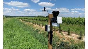 daily leaf wetness indicators